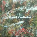 Bateki mboka : mots poignants pour une banale tragédie